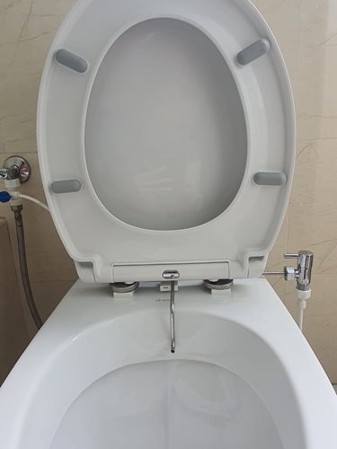 קיבוע על האסלה